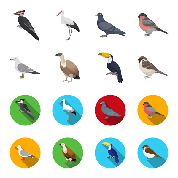 Möwen, Tukane und andere Arten. Vögel setzen Sammlung Symbole in Cartoon, flachen Stil Vektor Symbol Stock Illustration Web. — Stockvektor