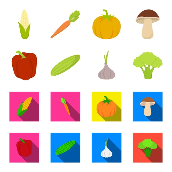 Pimienta roja dulce, pepino verde, ajo, repollo. Vegetales conjunto de iconos de colección en dibujos animados, vector de estilo plano símbolo stock ilustración web . — Vector de stock