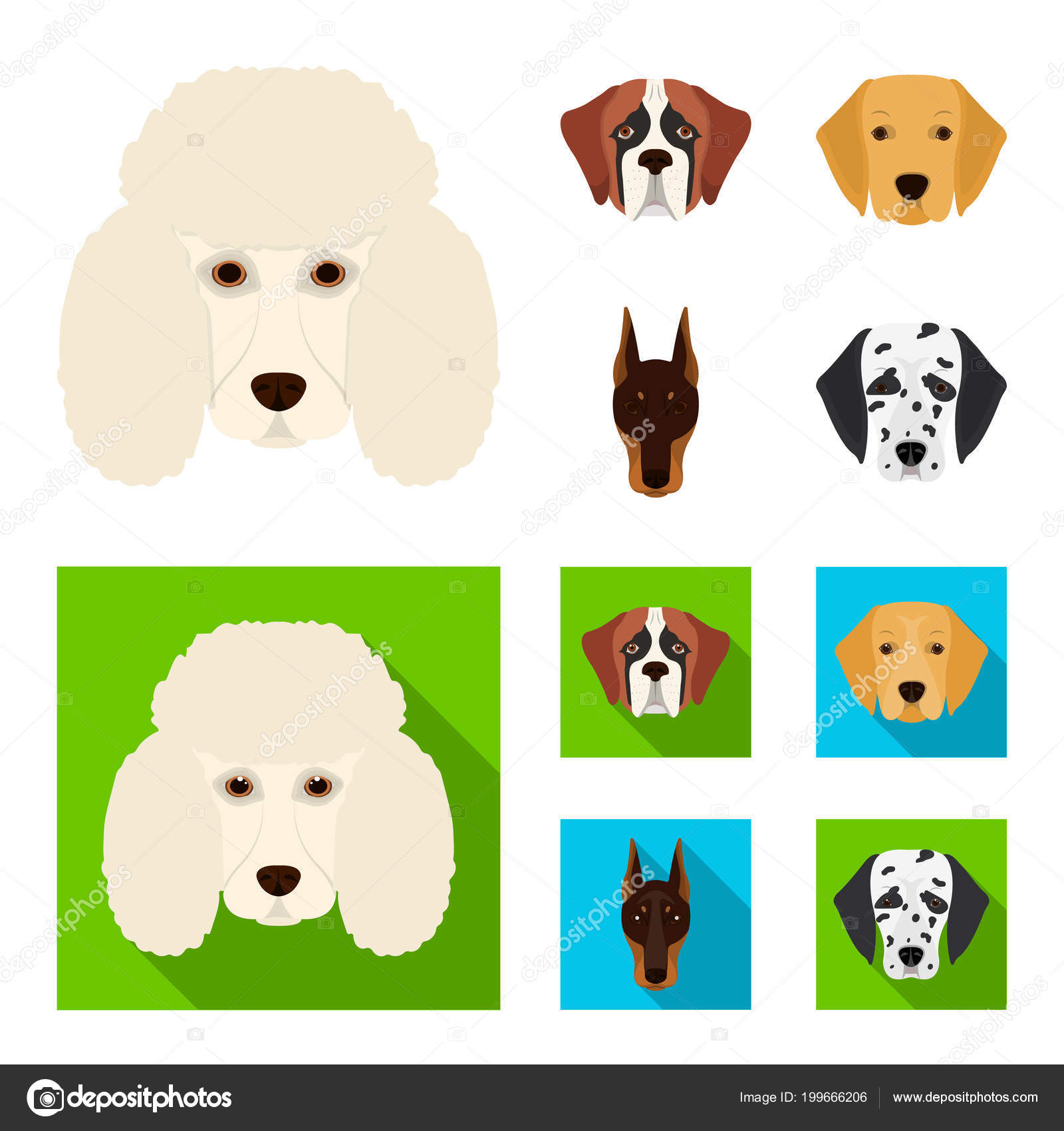 Museau De Différentes Races De Chiens Chien De La Race