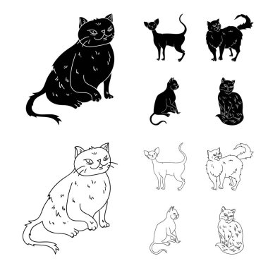 Farsça, Cornish rex ve diğer türler. Kedi doğurmak toplama simgeler siyah, anahat stili vektör simge stok çizim web içinde ayarla..