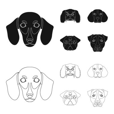 Farklı doğurmak-in köpek ağızlık. Köpek doğurmak dachshund, fino, beagle, pug toplama simgeler siyah, anahat stili vektör simge stok çizim web içinde ayarla.