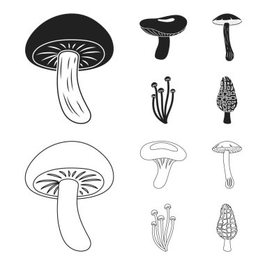 Shiitake, kahverengi kap çörek, enokitake, süt. toplama simgeler siyah, anahat stili vektör simge stok çizim web ayarla.