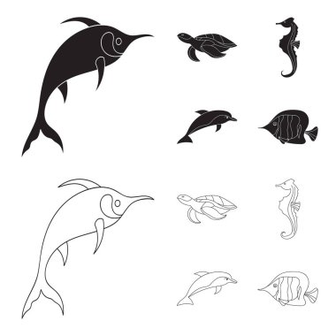 Merlin, kaplumbağa ve diğer türler. Deniz hayvanları toplama simgeler siyah, anahat stili vektör simge stok çizim web içinde ayarla..