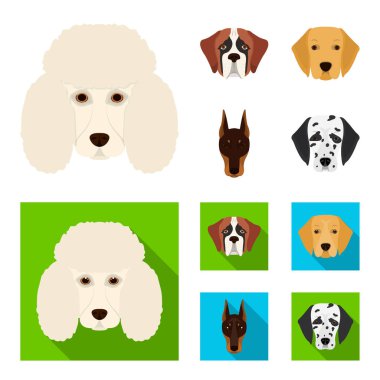 Farklı doğurmak-in köpek ağızlık. St. Bernard, golden retriever, Doberman, Dalmaçyalı doğurmak köpek toplama simgeler çizgi film, düz stil vektör simge stok çizim web ayarla..