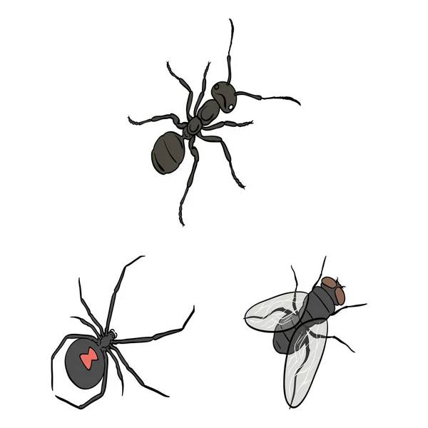 Verschiedene Arten von Insekten Cartoon-Symbole in Set Sammlung für Design. Insekt Arthropoden Vektor isometrisches Symbol Stock Web Illustration. — Stockvektor