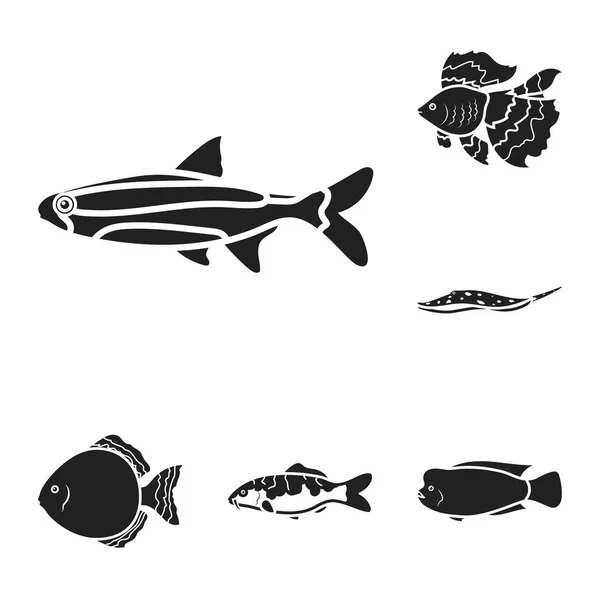 Verschiedene Arten von Fisch schwarzen Symbolen in Set-Kollektion für Design. Meeres- und Aquarienfische Vektor Symbol Stock Web Illustration. — Stockvektor