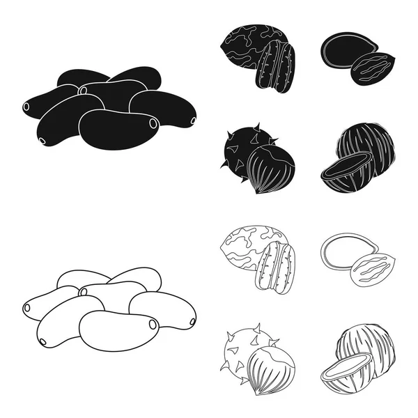 Pecan, piñón, semillas de calabaza, castaña. Diferentes tipos de nueces establecen iconos de colección en negro, contorno estilo vector símbolo stock ilustración web . — Archivo Imágenes Vectoriales