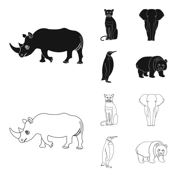 블랙 아프리카 동물 코끼리, 코뿔소, 팬더 야생 고양이, 제국 펭귄. 야생 동물 검정, 개요 스타일 벡터 기호 재고 일러스트 웹 컬렉션 아이콘 설정. — 스톡 벡터