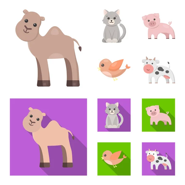 Nerealistické kreslený, byt zvířat ikony v kolekce sady pro design. Hračka zvířata vektorové ilustrace symbolů akcií web. — Stockový vektor
