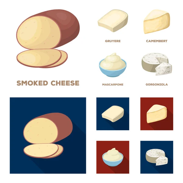 Gruyere, camembert, mascarpone, gorgonzola.Different tipos de iconos colección conjunto de queso en dibujos animados, vector de estilo plano símbolo stock ilustración web . — Vector de stock