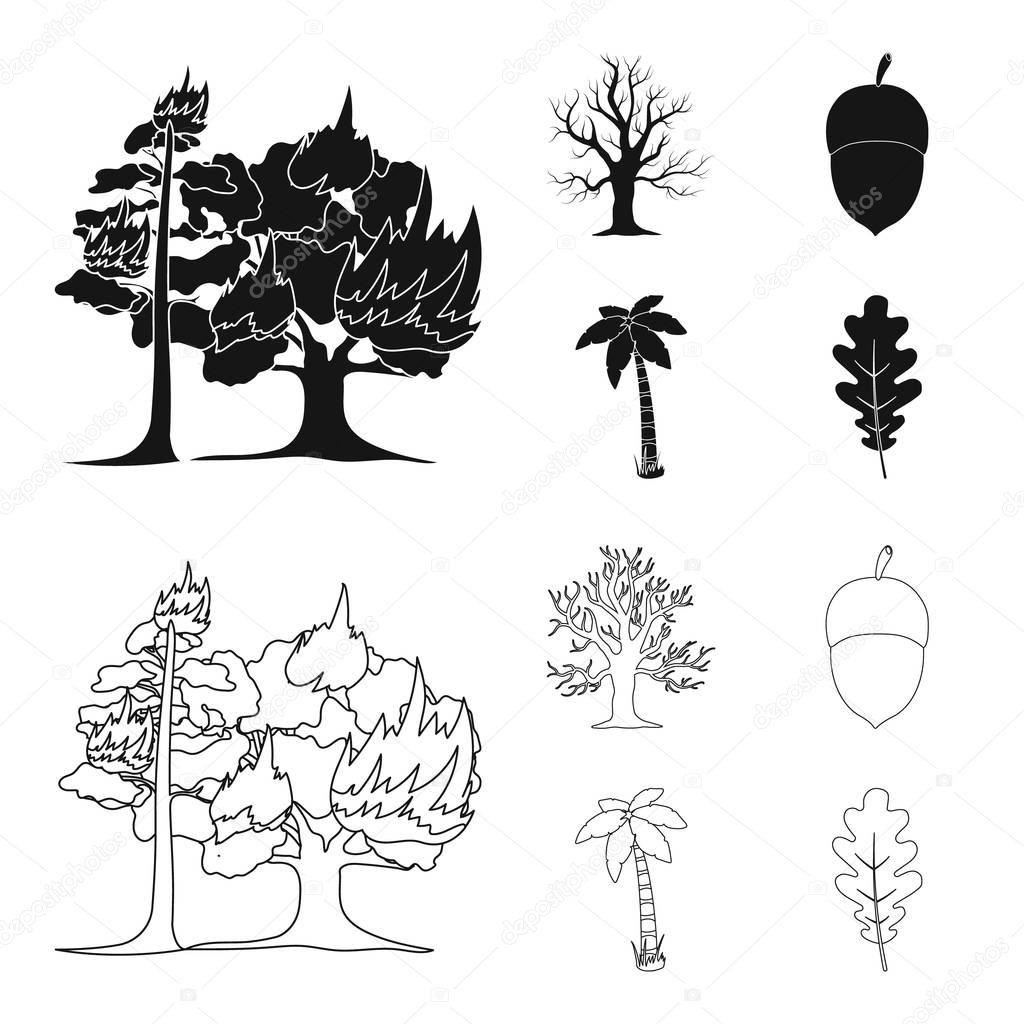 Burning tree, palm, acorn, dry tree.Forest set collection icons in black,outline style vector symbol stock illustration web.