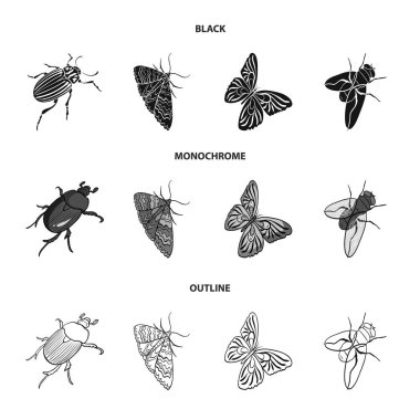 Eklembacaklılar böcek böcek, güve, kelebek, sinek. Böcekler koleksiyonu Icons set siyah, tek renkli, anahat stili vektör simge stok izometrik çizim web.