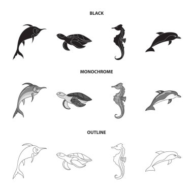 Merlin, kaplumbağa ve diğer türler. Deniz hayvanları toplama Icons set siyah, tek renkli, anahat stili vektör simge stok çizim web.