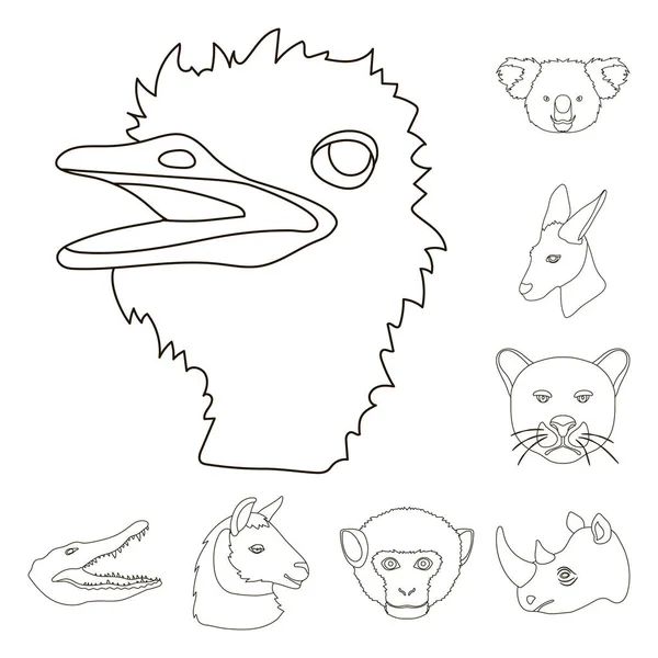Дикі тварини окреслюють піктограми в наборі колекції для дизайну. Ссавці і птахи Векторний символ стокова веб-ілюстрація . — стоковий вектор
