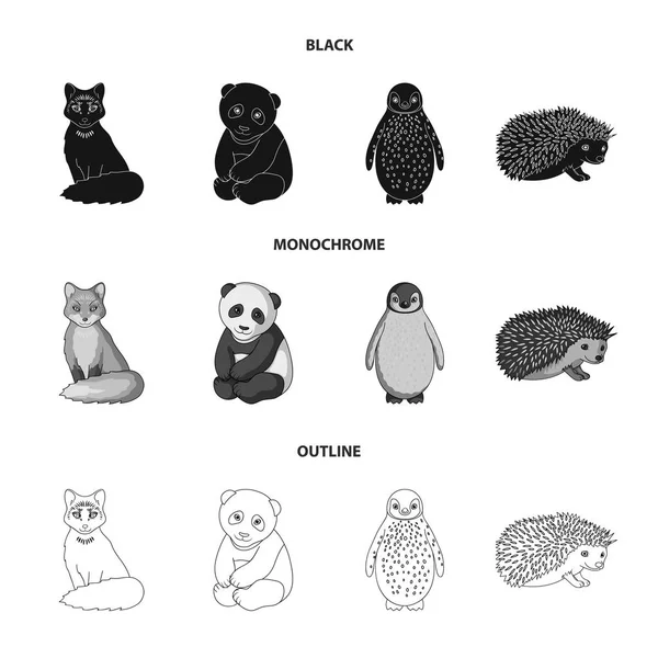 Raposa, panda, ouriço, pinguim e outros animais.Animais definir ícones de coleção em preto, monocromático, estilo esboço vector símbolo ilustração web . —  Vetores de Stock
