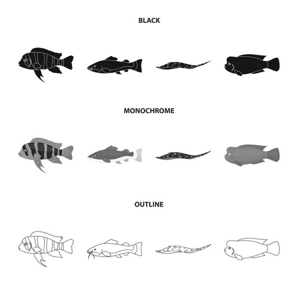 Frontosa, Çiklit, phractocephalus hemioliopterus. Balık koleksiyonu Icons set siyah, tek renkli, anahat stili vektör simge stok çizim web. — Stok Vektör