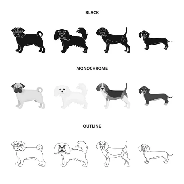 Hunderassen schwarz, monochrom, Umrisssymbole in Set Kollektion für Design. Dog pet Vektor Symbol Stock Web Illustration. — Stockvektor