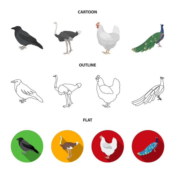 Crow, ostrich, chicken, peacock. Birds set collection icons in cartoon,outline,flat style vector symbol stock illustration web. — Stock Vector