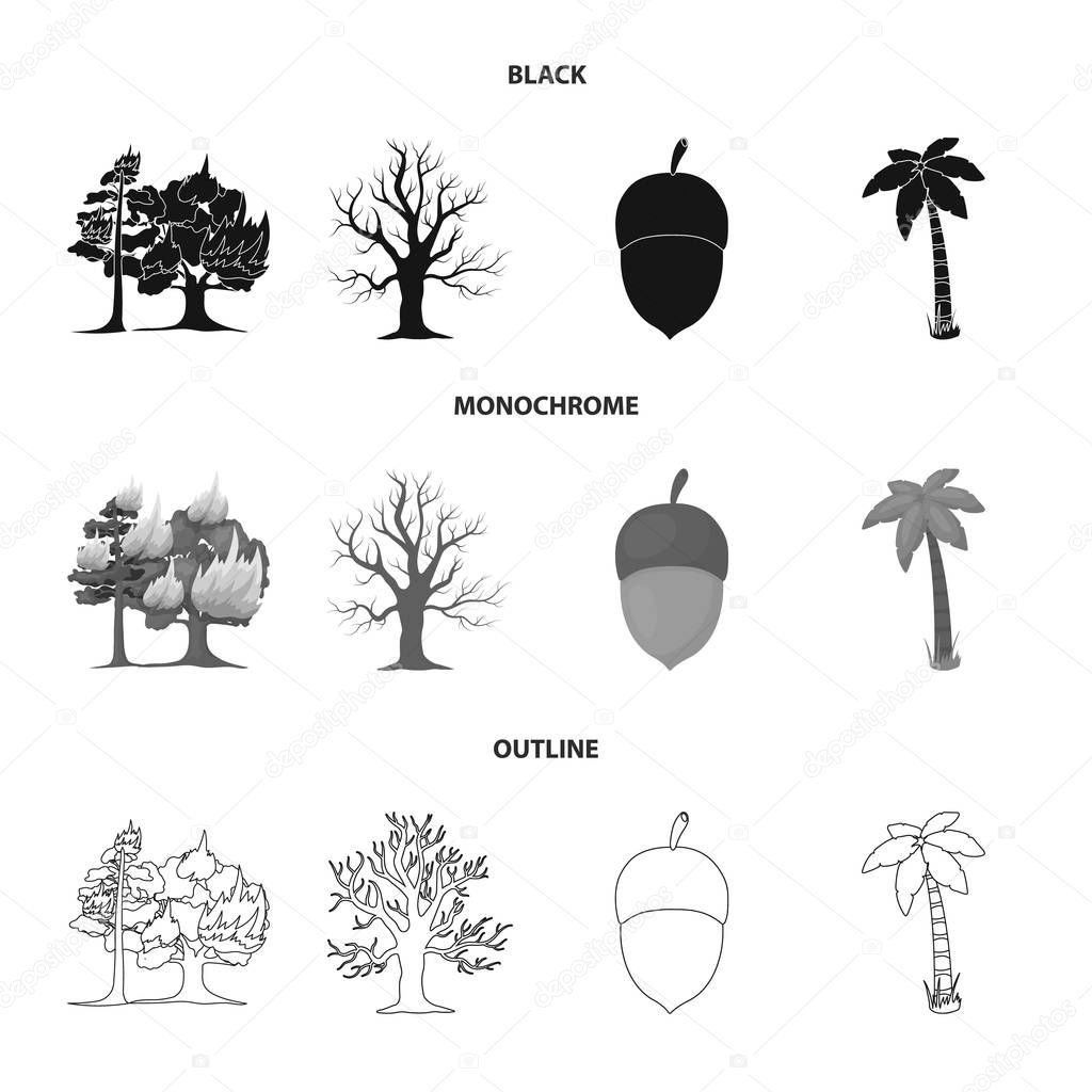 Burning tree, palm, acorn, dry tree.Forest set collection icons in black,monochrome,outline style vector symbol stock illustration web.