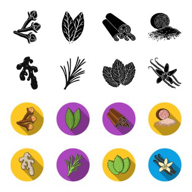 Ginger, biberiye, vanilya, nane. Otlar ve baharatlar toplama simgeler siyah, flet stil vektör simge stok çizim web ayarla.