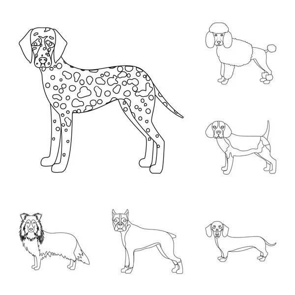 Razas perro contorno iconos en conjunto colección para design.Dog mascota vector símbolo stock web ilustración . — Vector de stock