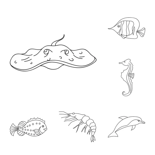 A variety of marine animals outline icons in set collection for design. Fish and shellfish vector symbol stock web illustration. — Stock Vector