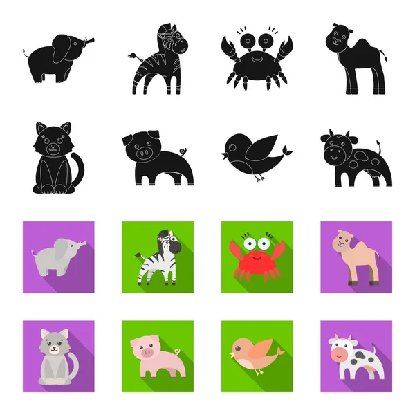 Μια ρεαλιστική μαύρο, flet εικόνες ζώων σετ συλλογής για το σχεδιασμό. Ζωάκια διανυσματικά εικονογράφηση σύμβολο μετοχής web. — Διανυσματικό Αρχείο