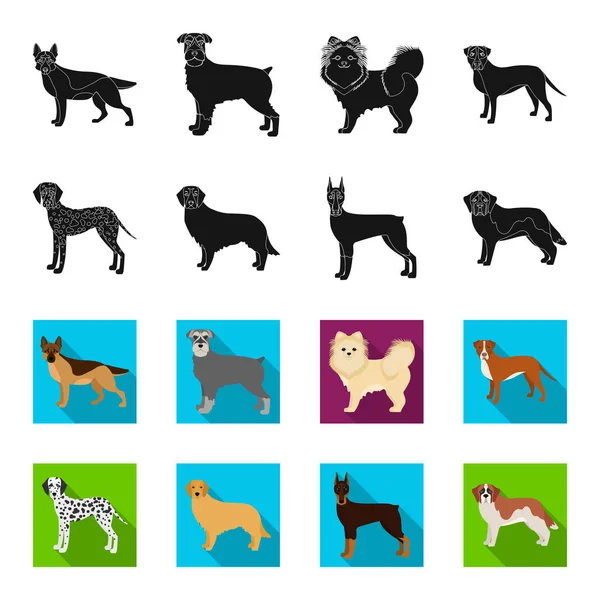 Chien de races noir, flet icônes en set collection pour design.Dog animal de compagnie vecteur symbole illustration web stock . — Image vectorielle