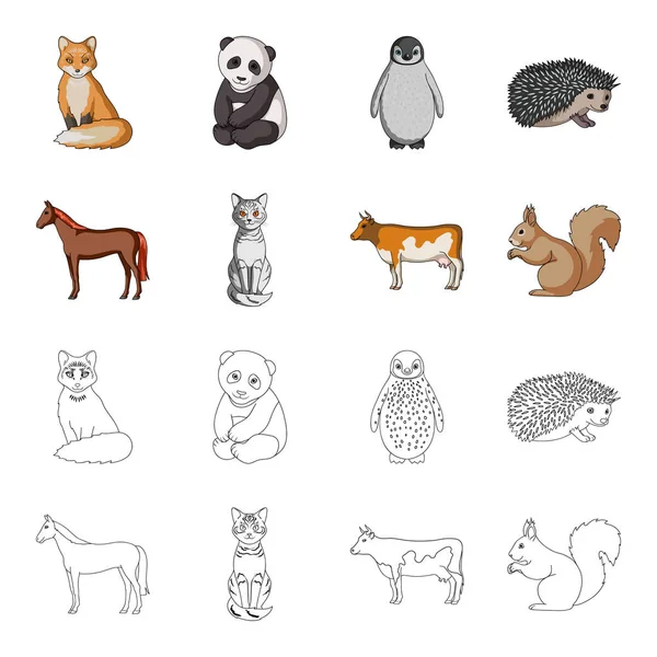 Hevonen, lehmä, kissa, orava ja muunlaisia eläimiä.Eläimet asettaa kokoelma kuvakkeet sarjakuva, ääriviivat tyyli vektori symboli varastossa kuva web . — vektorikuva