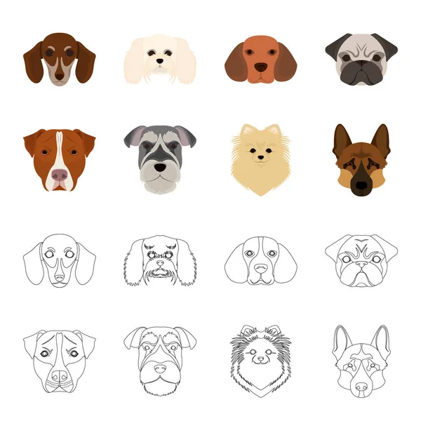 Bozal de diferentes razas de perros. Raza de perro Stafford, Spitz, Risenschnauzer, pastor alemán conjunto colección iconos en dibujos animados, contorno estilo vector símbolo stock ilustración web . — Vector de stock