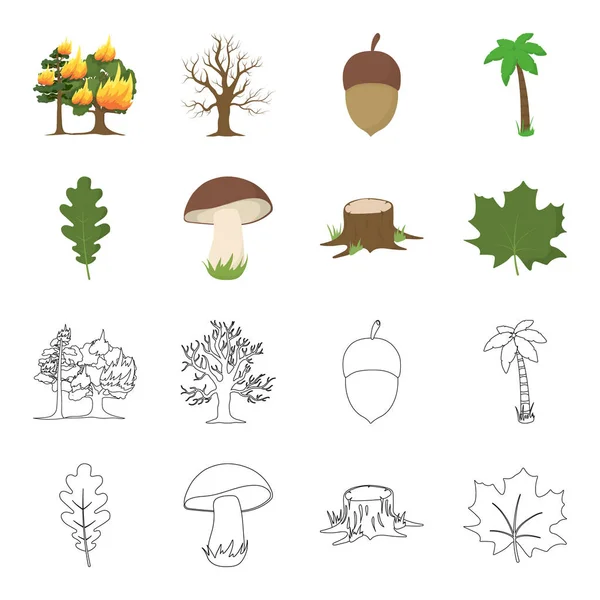 Folha de carvalho, cogumelo, toco, folha de ácer. Ícones de coleção de conjunto de floresta em desenhos animados, esboço estilo vetor símbolo estoque ilustração web . — Vetor de Stock