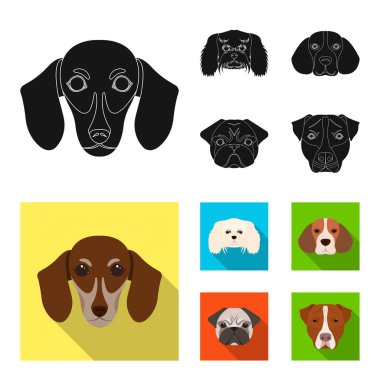 Farklı doğurmak-in köpek ağızlık. Köpek dachshund, fino, beagle, pug cinsi siyah, düz stil vektör simge stok çizim web simgeler ayarla.