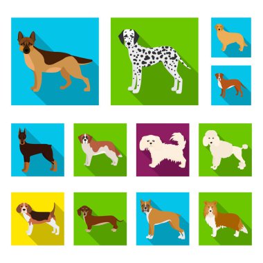 Köpek ırkları set koleksiyonu tasarım için simgeleri düz. Köpek evde beslenen hayvan vektör simge stok web çizim.