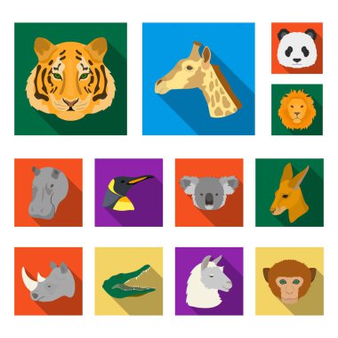 Set koleksiyonu tasarım için vahşi hayvan düz simgeler. Mammal ve kuş sembol stok web illüstrasyon vektör.