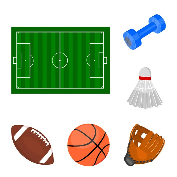 Különböző típusú sport ikonok beállítása gyűjtemény, design rajzfilm. Sport felszerelés vektor szimbólum állomány honlap illusztráció. — Stock Vector