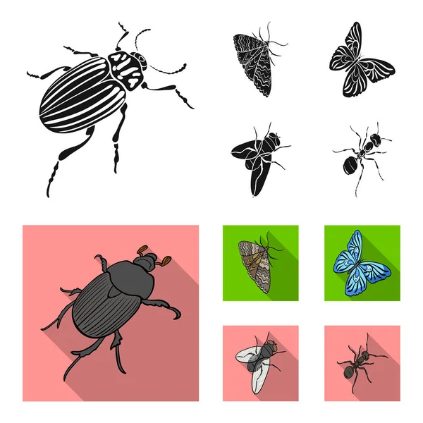 Arthropods insect beetle, moth, butterfly, fly. Insects set collection icons in black, flat style vector symbol stock isometric illustration web. — Stock Vector