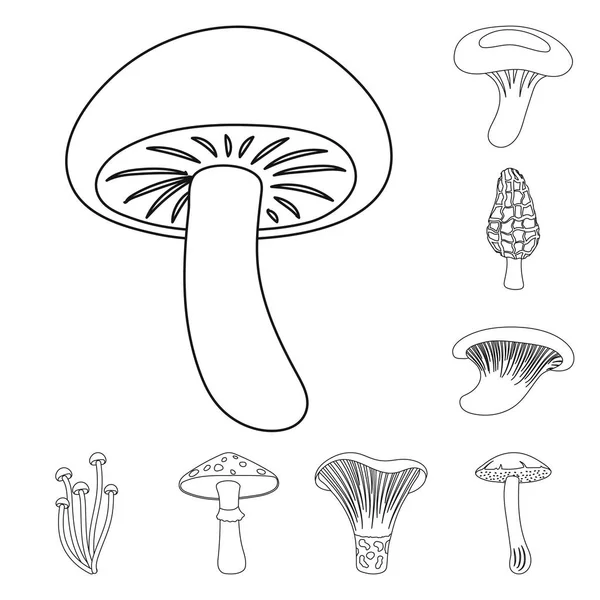 有毒和可食用的蘑菇轮廓图标集合中的设计。不同类型的蘑菇矢量符号库存 web 插图. — 图库矢量图片