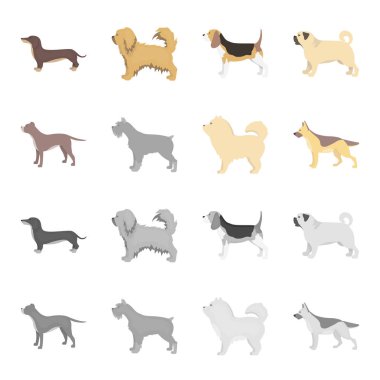 Çukur boğa, Alman çoban, chow chow, schnauzer. Köpek ırkları toplama simgeler çizgi film, tek renkli stil vektör simge stok çizim web ayarla..