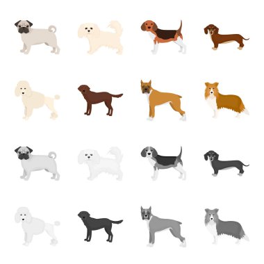 Köpek doğurmak çizgi film, set koleksiyonu tasarım için tek renkli simgeler. Köpek evde beslenen hayvan vektör simge stok web çizim.