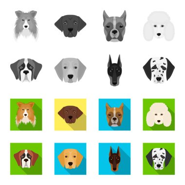 Farklı doğurmak-in köpek ağızlık. St. Bernard, golden retriever, Doberman, Dalmaçyalı doğurmak köpek toplama simgeler tek renkli, düz stil vektör simge stok çizim web içinde ayarla..