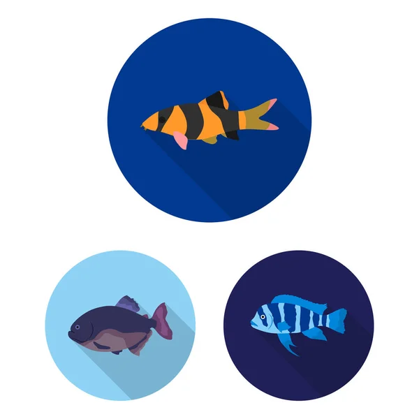 魚の種類はフラット デザインのセットのコレクションのアイコンです。水族館と海洋魚ベクトル シンボル ストック web イラスト. — ストックベクタ