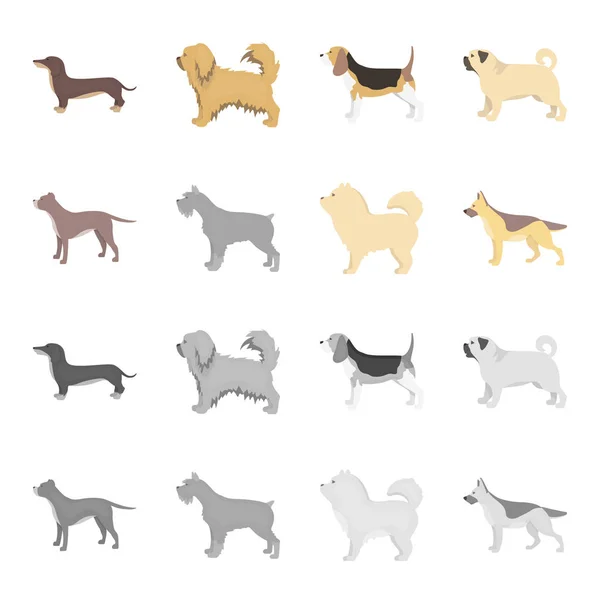 Pitbull, Schäferhund, Chow Chow, Schnauzer. Hunderassen setzen Sammlung Symbole in Cartoon, monochromen Stil Vektor Symbol Stock Illustration Web. — Stockvektor