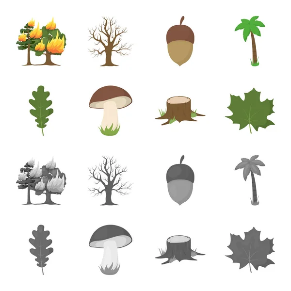 Eiken blad, paddestoel, stomp, esdoornblad. Forest instellen collectie iconen in de tekenfilm, zwart-wit stijl vector symbool stock illustratie web. — Stockvector