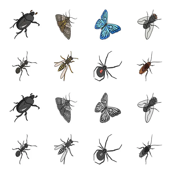 Ein Insekt Gliederfüßer, eine osa, eine Spinne, eine Kakerlake. Insekten setzen Sammlung Symbole in Cartoon, monochromen Stil Vektor Symbol Lager isometrische Illustration Web. — Stockvektor