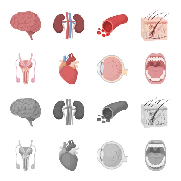 Sistema masculino, corazón, globo ocular, cavidad oral. Los órganos establecen iconos de colección en la historieta, el estilo monocromo vector símbolo stock ilustración web . — Vector de stock