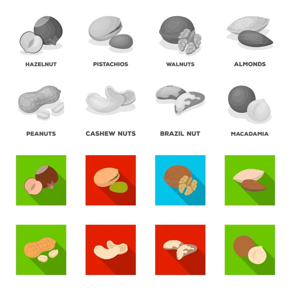 Jordnötter, cashewnötter, paranötter, macadamia. Olika typer av nötter som samling ikoner i svartvitt, platt stil vektor symbol stock illustration web. — Stock vektor