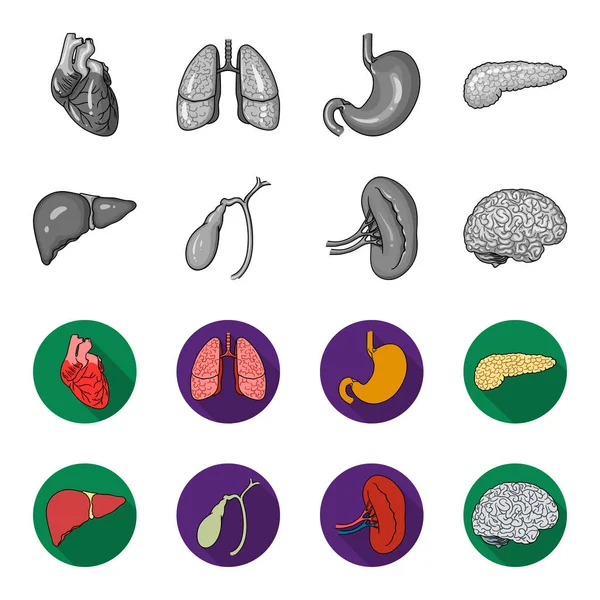 Levern, gallblåsan, njurar, hjärna. Mänskliga organ ställa samling ikoner i svartvitt, platt stil vektor symbol stock illustration web. — Stock vektor