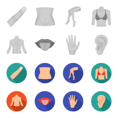 Kişi, ağız, el, kulak arkası. Gövde bölümü toplama simgeler tek renkli, düz stil vektör simge stok çizim web ayarla..