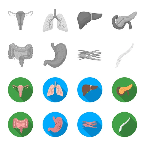 Intestinos, estómago, músculos, columna vertebral. Conjunto de órganos iconos de colección en monocromo, vector de estilo plano símbolo stock ilustración web . — Vector de stock