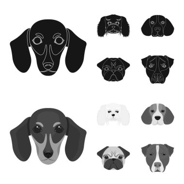 Farklı doğurmak-in köpek ağızlık. Köpek dachshund, fino, beagle, pug cinsi siyah, tek renkli stil vektör simge stok çizim web simgeler ayarla.